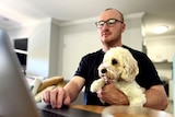 A man wearing glasses, applying for jobs on his laptop, with a dog sitting on his lap.