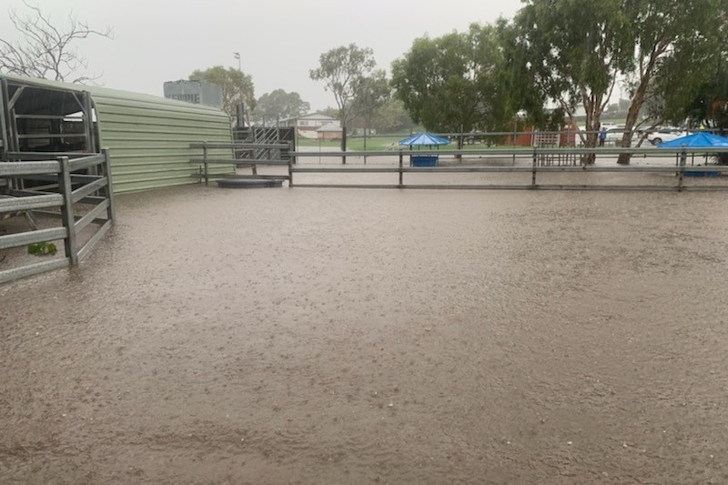 a cattle yard is flooded