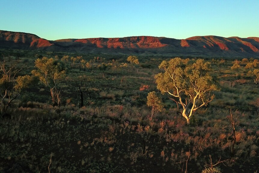 A typical landscape of the Pilbara region