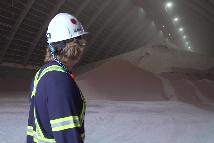 Person stands side on looking towards piles of potash in a warehouse.