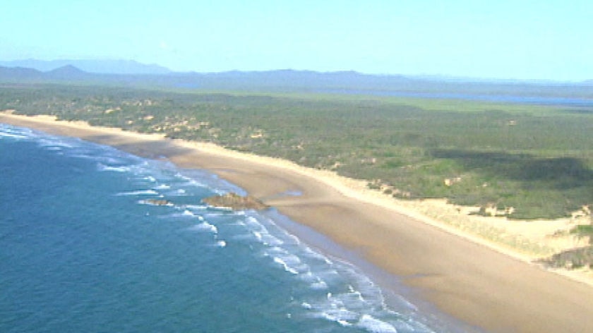 Aerial view of a beach