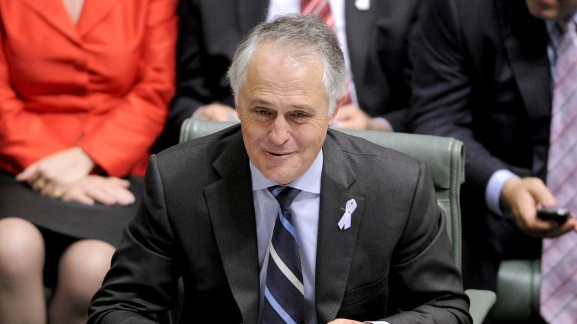 Turmoil over emissions trading has left Malcolm Turnbull's Opposition deeply divided.