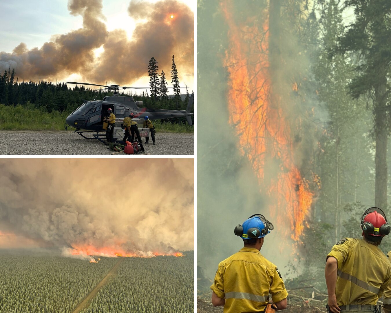 A collage of wildfires.
