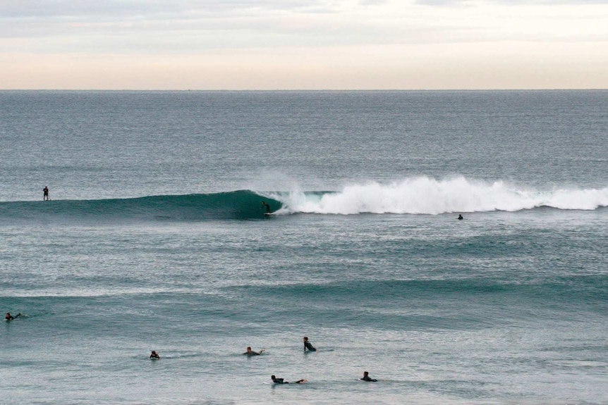Surfers at Cables Artificial Reef in Perth