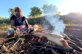 An Indigenous woman cooks kangaroo tails on a campfire. 