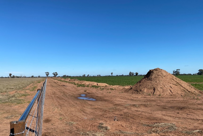 Large mounds of dirt between a lush green crop and a fence. The dirt was scraped back to clean after dust storms