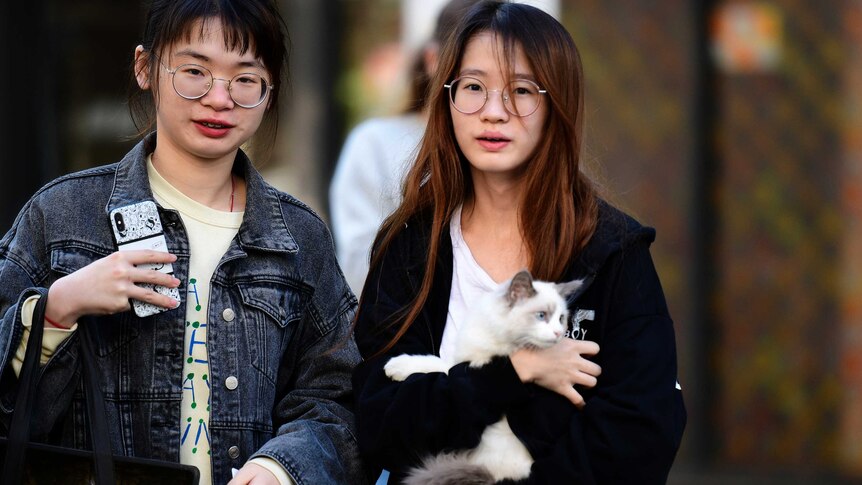 Two women stand outside one is holding a cat