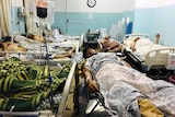 Afghans lie on beds at a hospital after they were wounded in the deadly attacks.