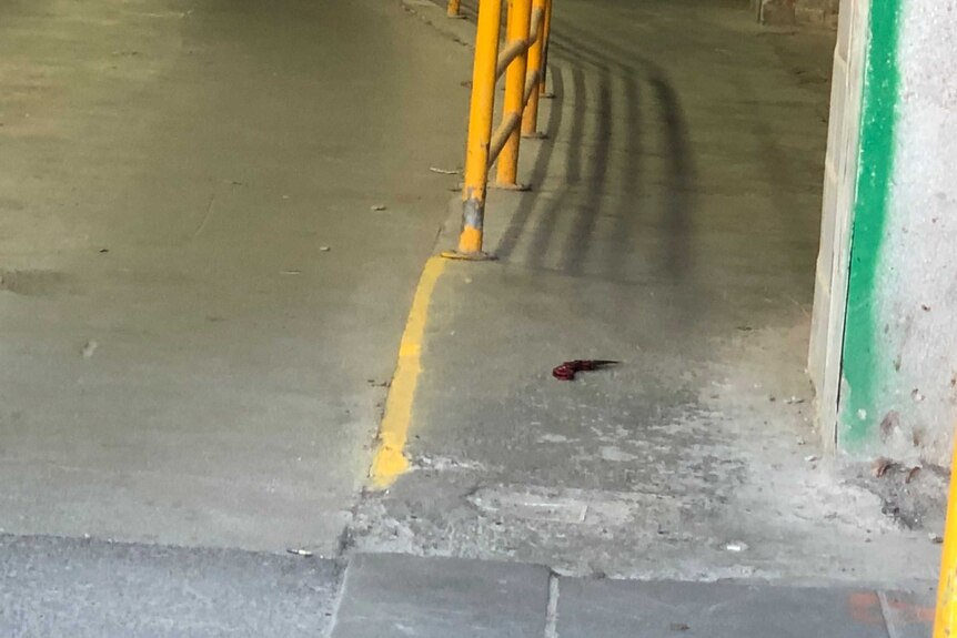 A knife lies on the concrete floor of a car park.