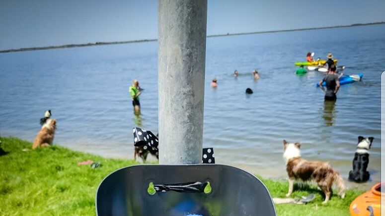 A bucket of balls with a sign that reads 'play, fetch' at Lake Bonney.