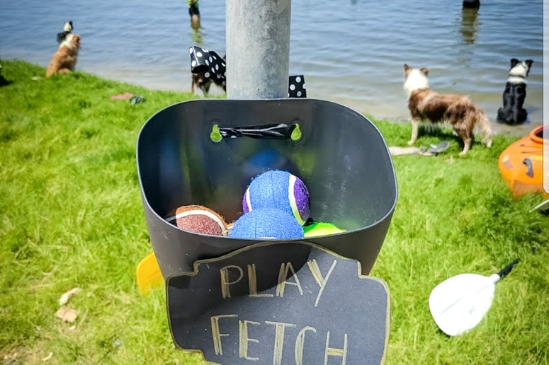 A bucket of balls with a sign that reads 'play, fetch' at Lake Bonney.