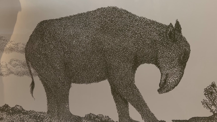 An illustration of a creature on four legs, with a snout like a tapir's.