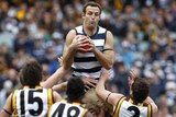 Close contest...Brad Ottens marks for Geelong in the Cats' two-point victory.