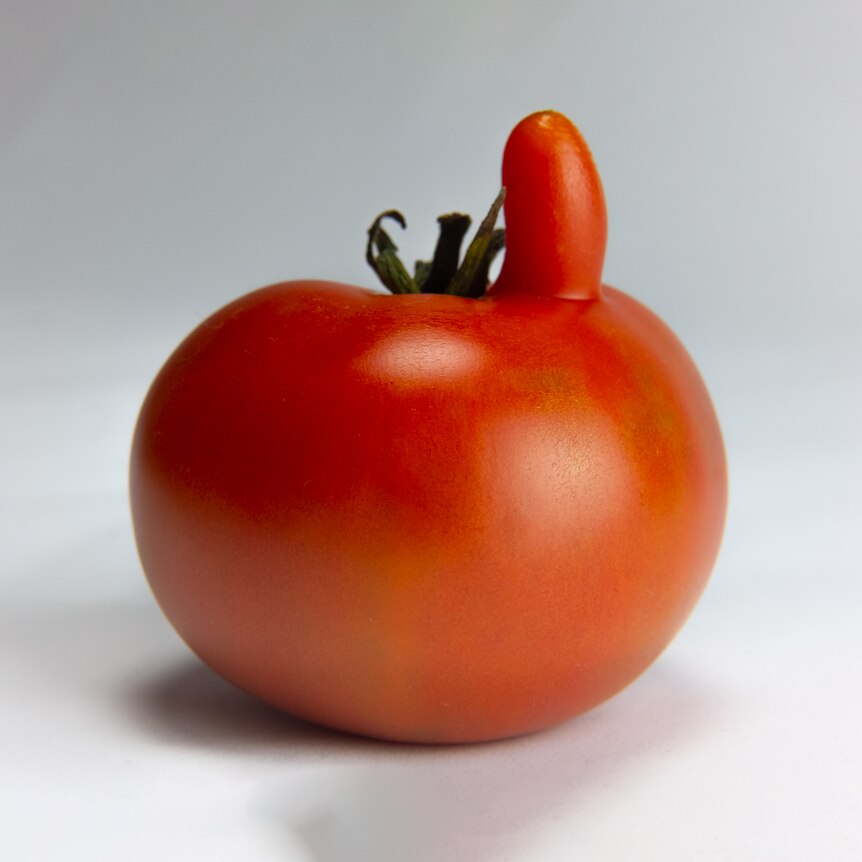 A tomato with a growth poking out up the top.