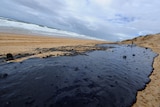 Oil washes up on Queensland beaches