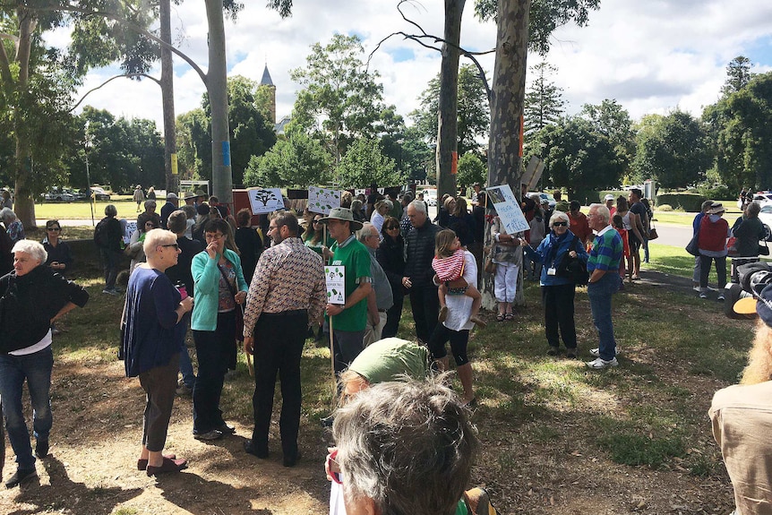 People protest at Glenside against plans to cut down trees