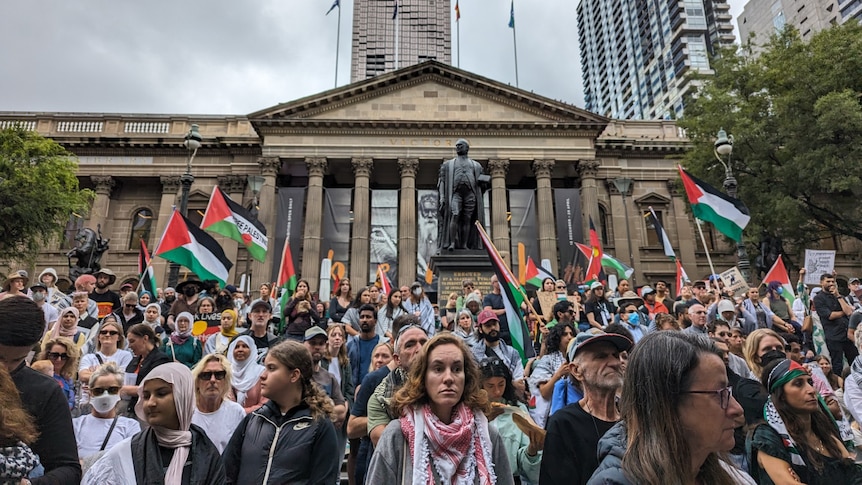 A crowd of people on the steps of the state library waving flags.