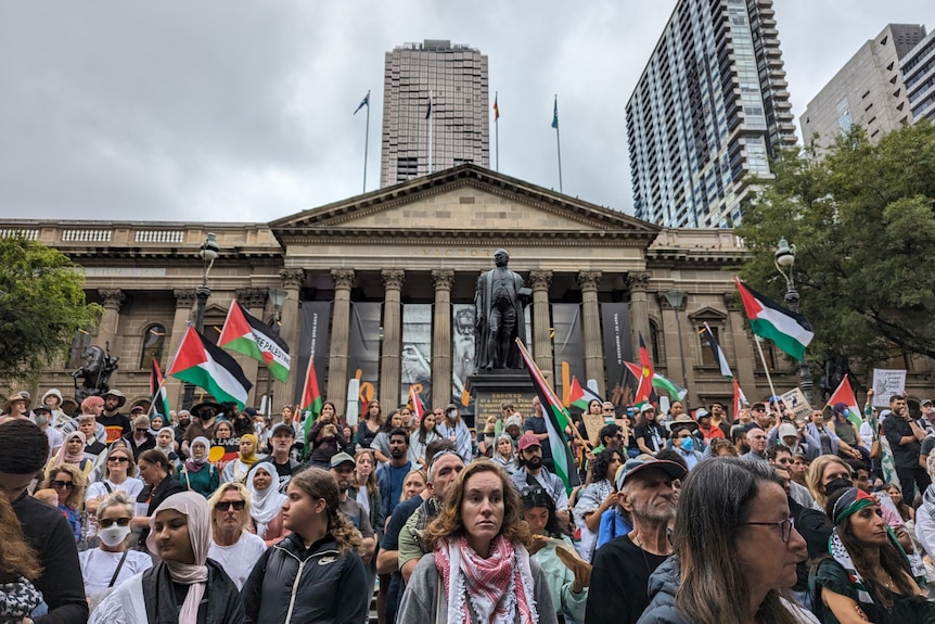 A crowd of people on the steps of the state library waving flags.