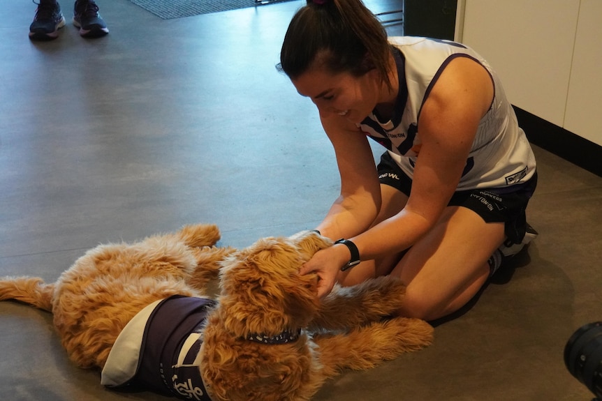 Joanne Cregg, joueuse de l'AFLW des Fremantle Dockers, joue avec Winnie the Groodle