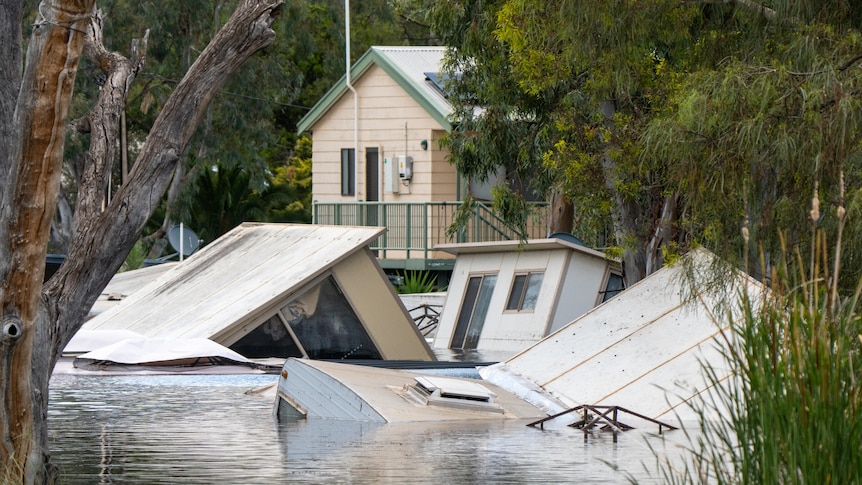 Blanchetown Caravan Park submerged by floodwaters.