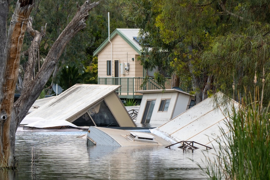 Blanchetown Caravan Park submerged by floodwaters.