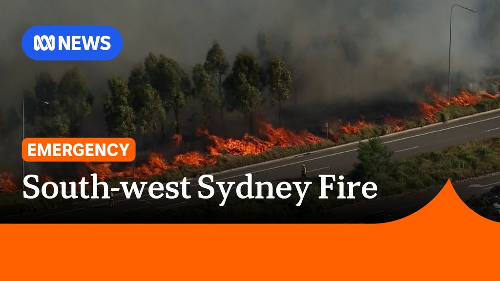 Firefighters battle out-of-control blaze in south-west Sydney - ABC News