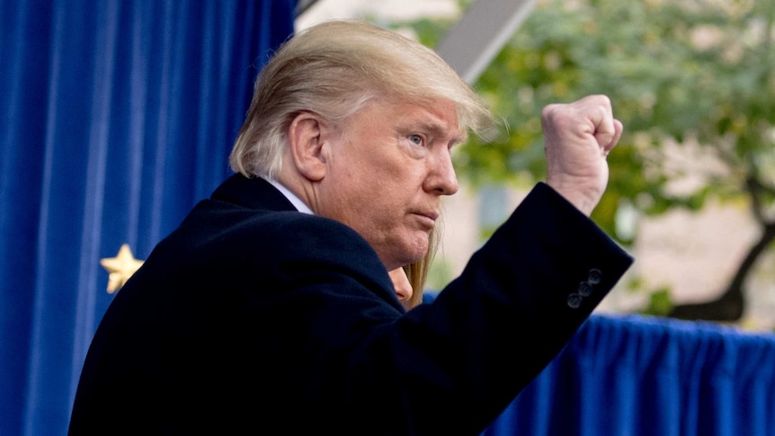 US President Donald Trump raises a fist towards a crowd.