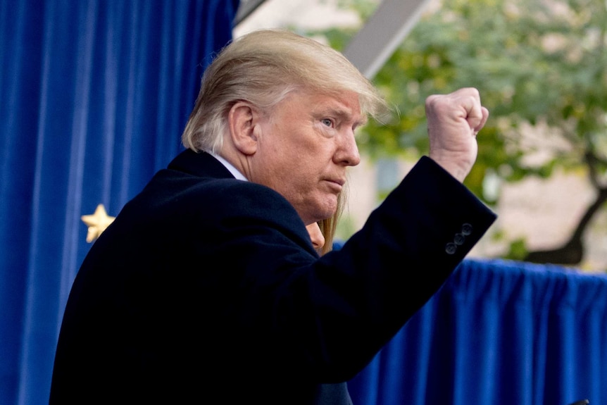 US President Donald Trump raises a fist towards a crowd.