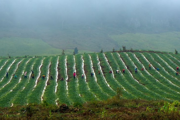 Laos countryside