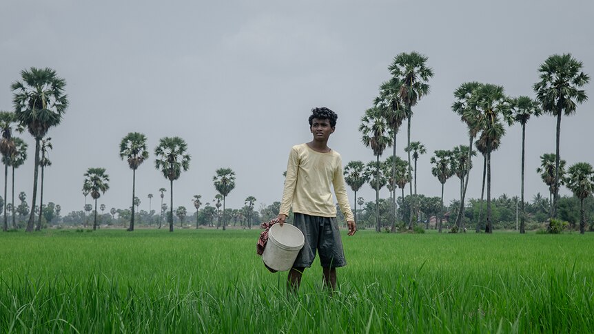A boy wearing cream shirt and grey shorts stands holding bucket in a field of long grass and palm tress on a grey day.