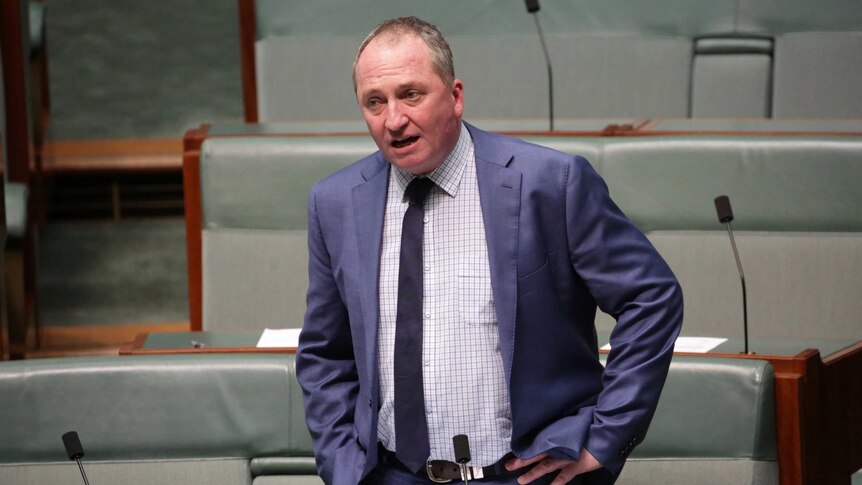 Barnaby Joyce addresses Parliament.
