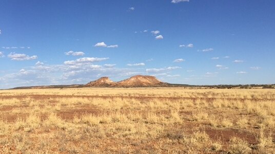 Dry Windorah landscape.