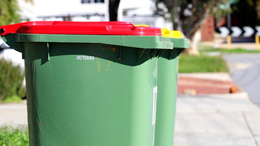 A red-lid household rubbish bin on a suburban front verge with a yellow-lid bin behind it.