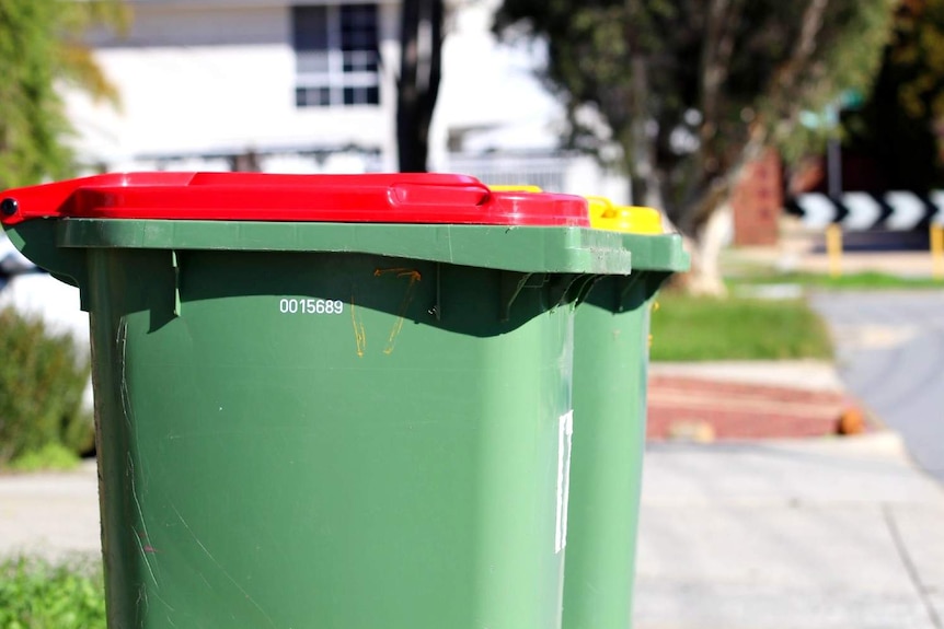 A red-lid household rubbish bin on a suburban front verge with a yellow-lid bin behind it.