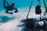 A diver looks at some very large black equipment underwater.