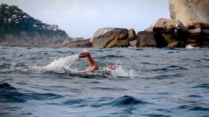 A person swims in the ocean