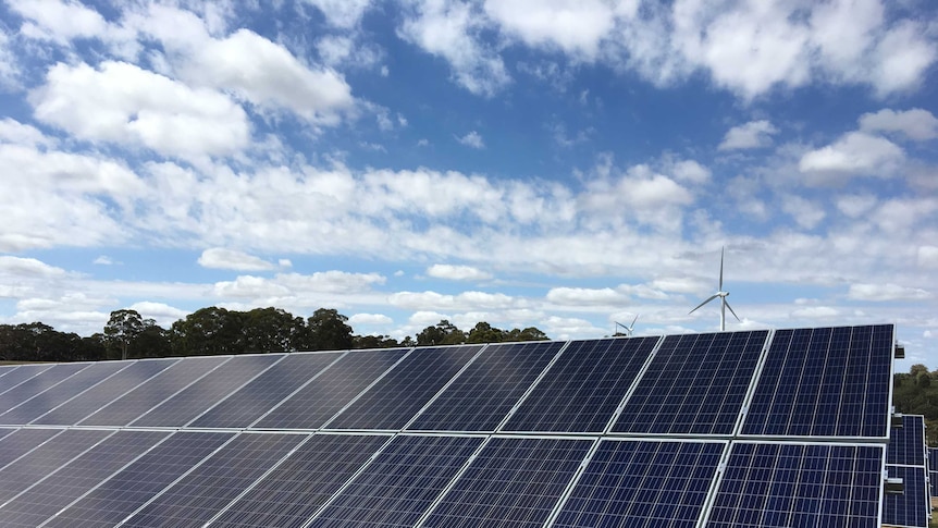 Several rows of solar panels with a wind turbine in the background.