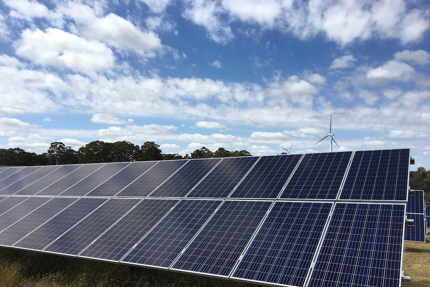 Several rows of solar panels with a wind turbine in the background.