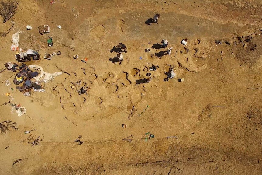 An aerial view of dinosaur tracks with people working around them.