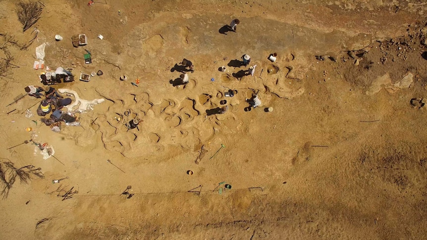 An aerial view of dinosaur tracks with people working around them.