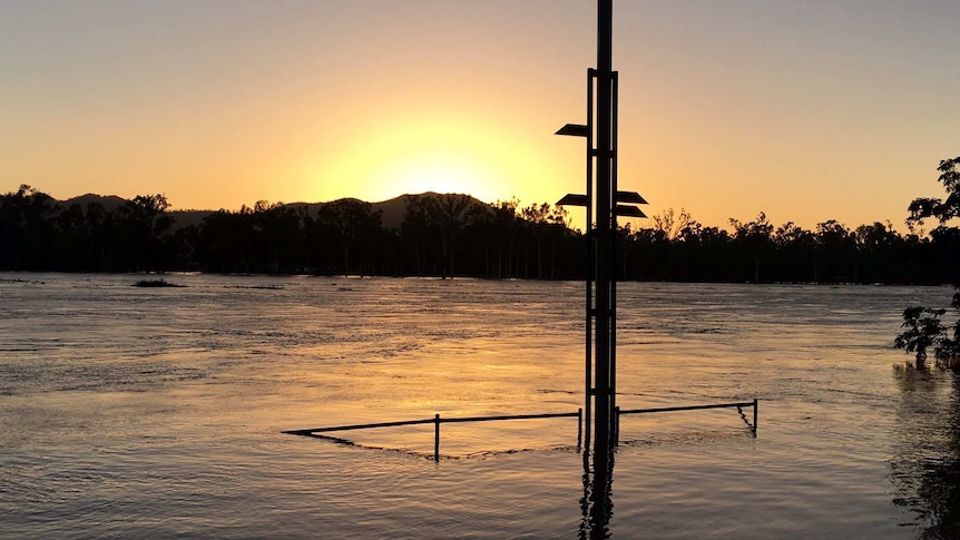 Flooded Fitzroy River in Rockhampton
