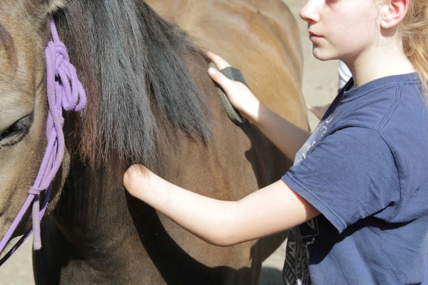 A child with limb difference brushes a horse