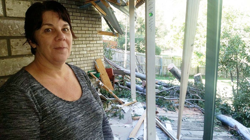 Karyn Steele's Upper Kedron home was damaged after strong winds brought down a 30-metre-plus gumtree.