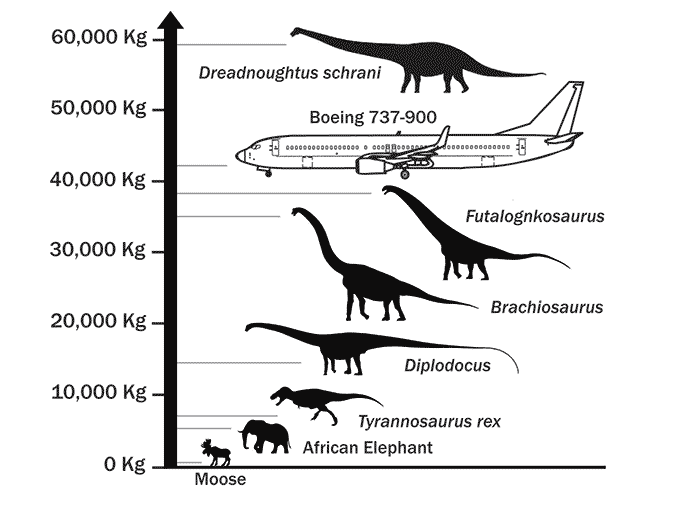 Size and weight comparisons for Dreadnoughtus schrani, thought to be the world's largest dinosaur.