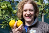 A woman stand in front of a lemon tree, holding lemons