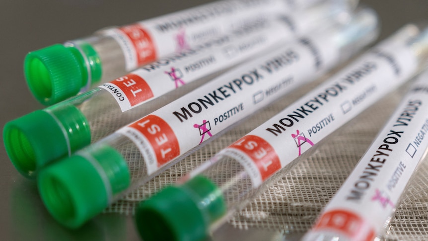 APN: No Monkeypox Mutation, WHO 1