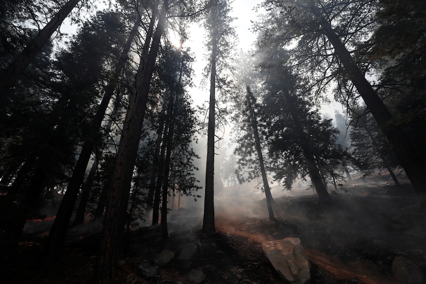 Smoke is seen as the Bobcat Fire burns in the Angeles National Forest near Los Angele