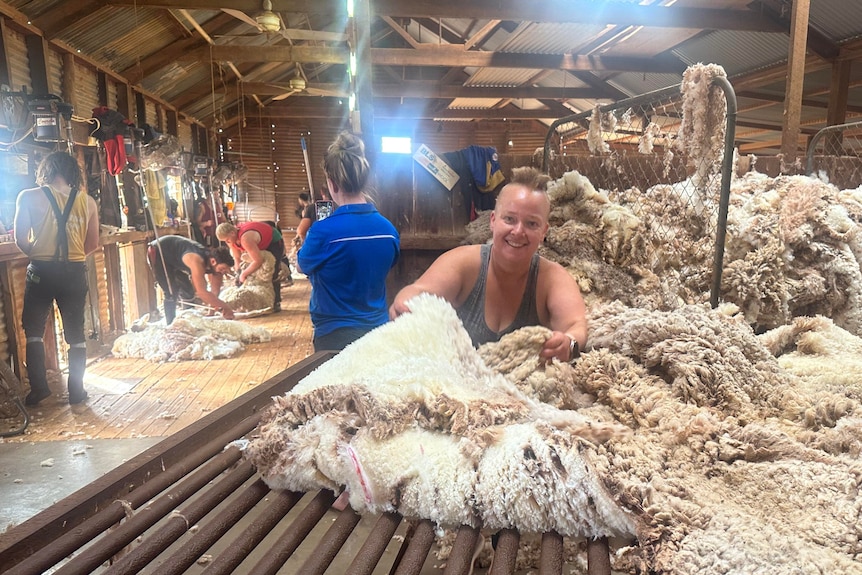 Woman in shearing shed at table with fleece of wool