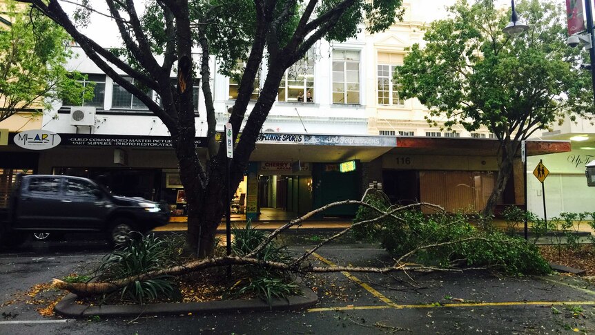 Branches down in Rockhampton mall after wild storm.