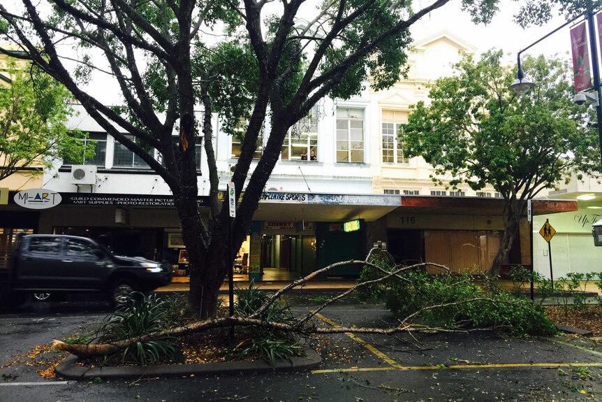 Branches down in Rockhampton mall after wild storm.